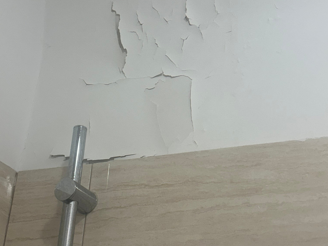 Bed & Breakfast Villa Bellini主图