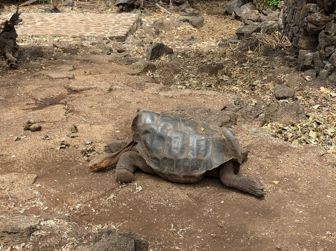 Estación Científica Charles Darwin