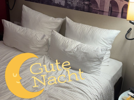 海德尔堡假日酒店主图