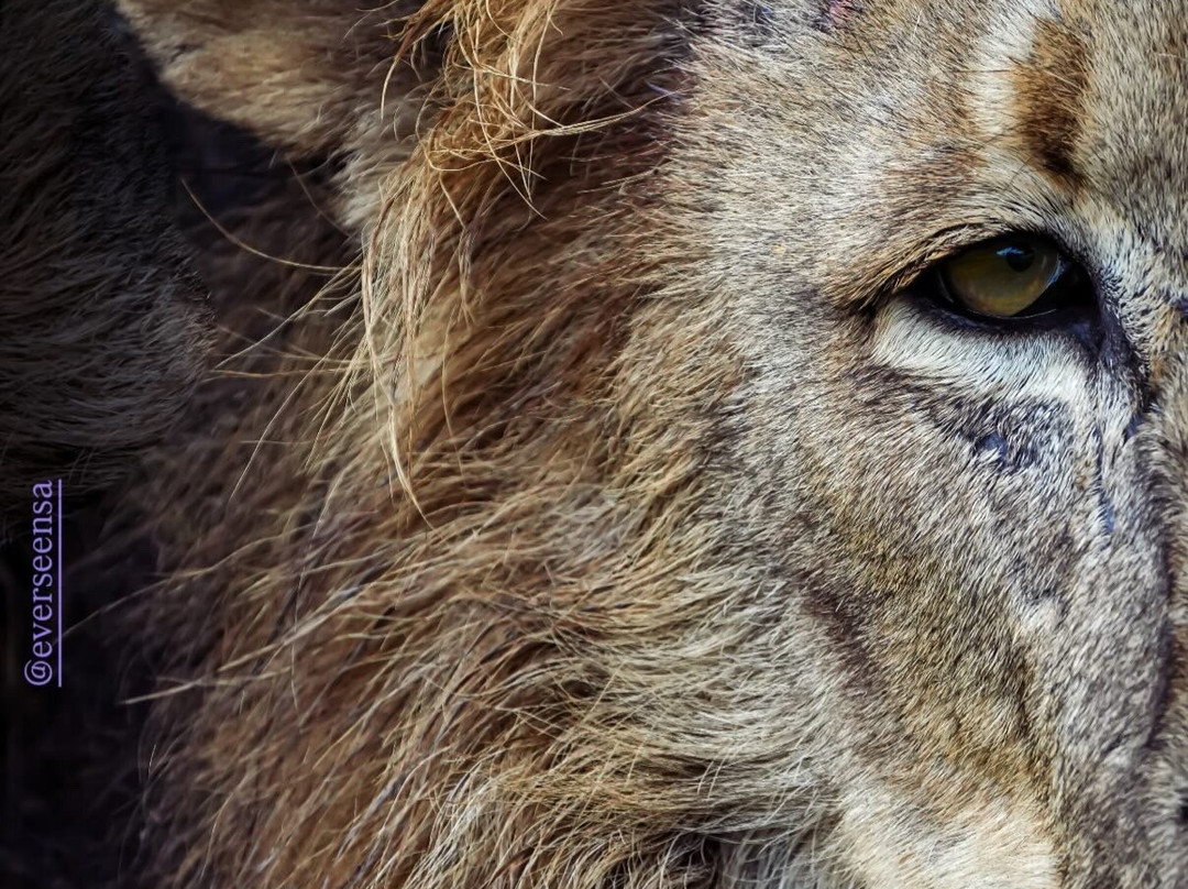 EverseenAfrica-霍德斯普鲁特必去景点