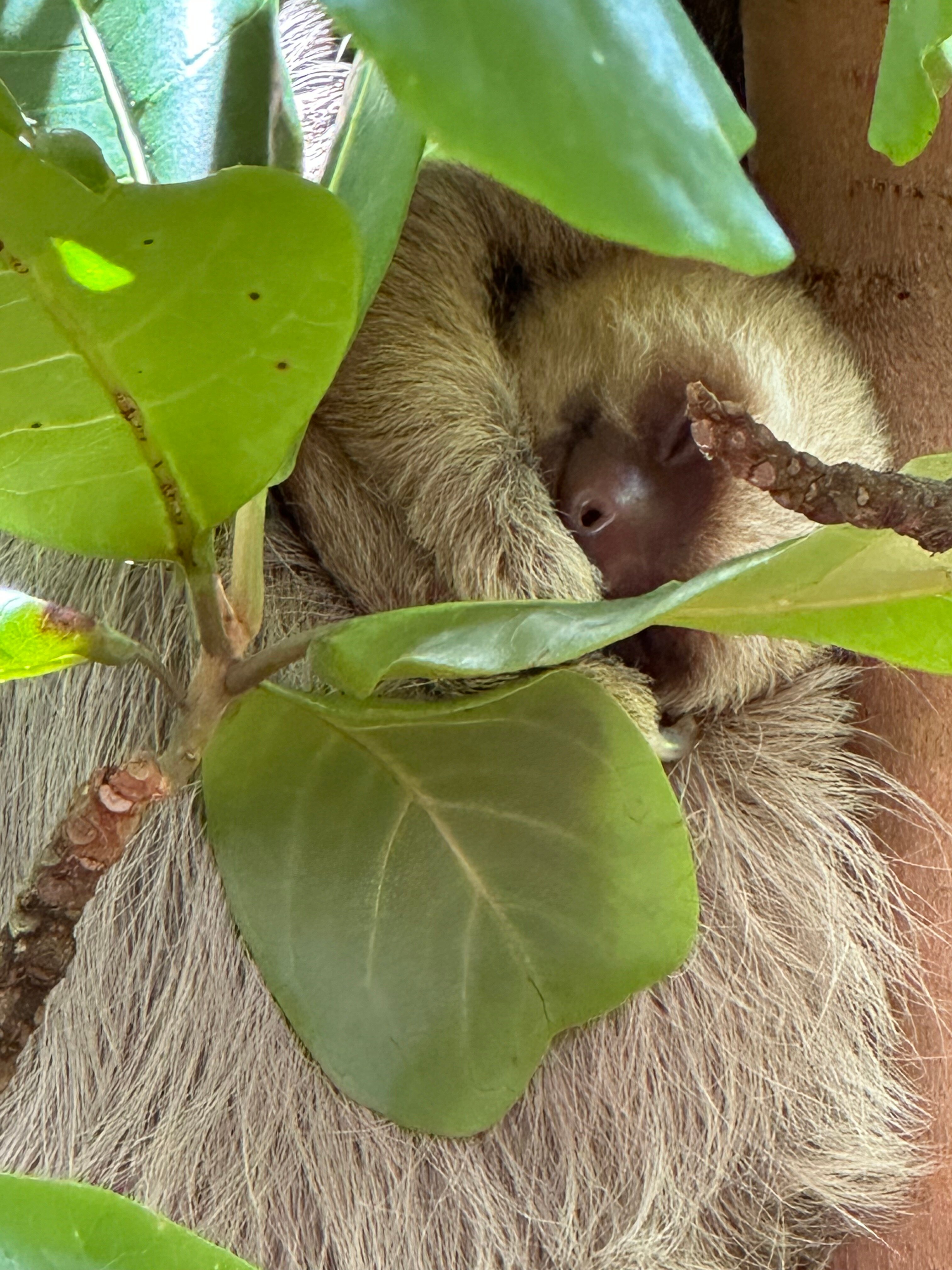 Parador Resort & Spa-浴室