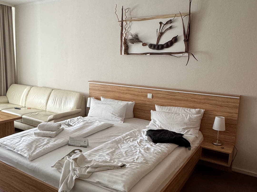 Hotel Am Alten Strom主图