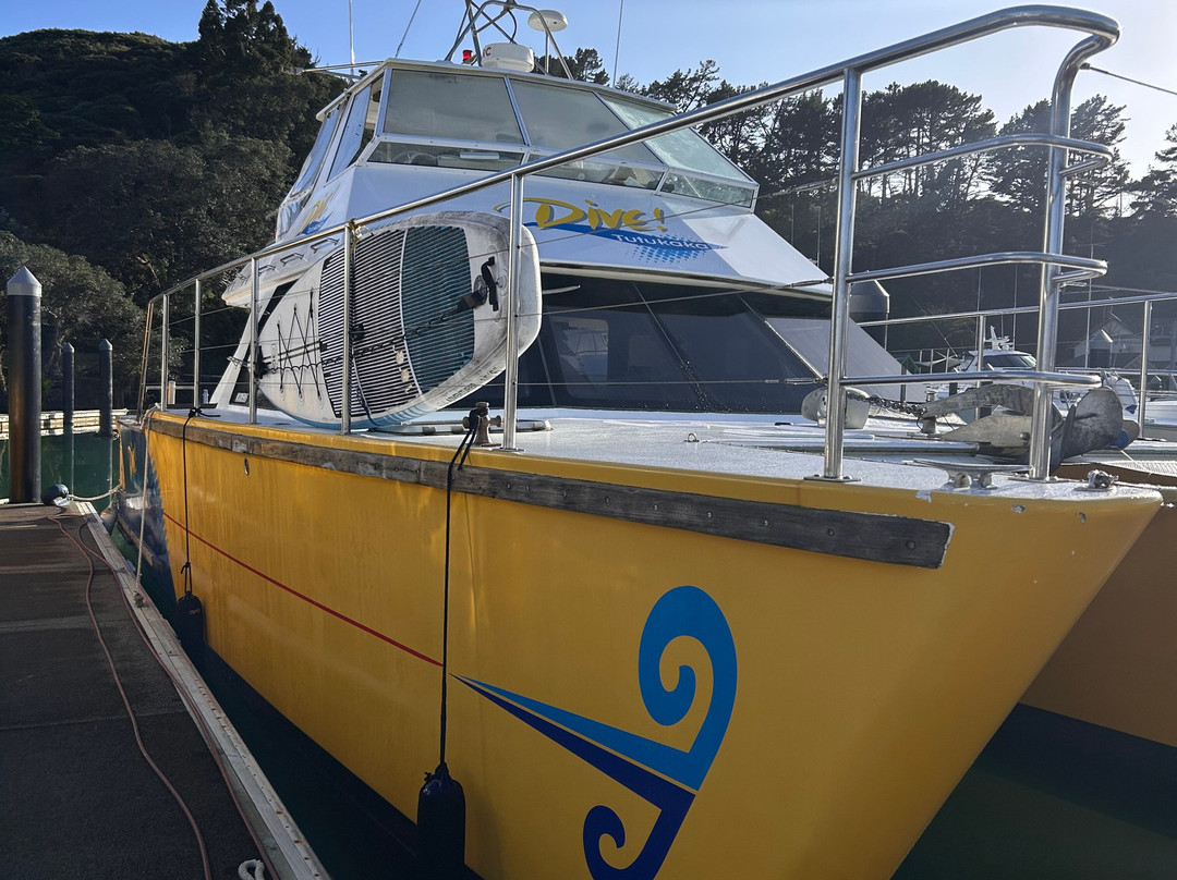 Dive! Tutukaka-Tutukaka必去景点