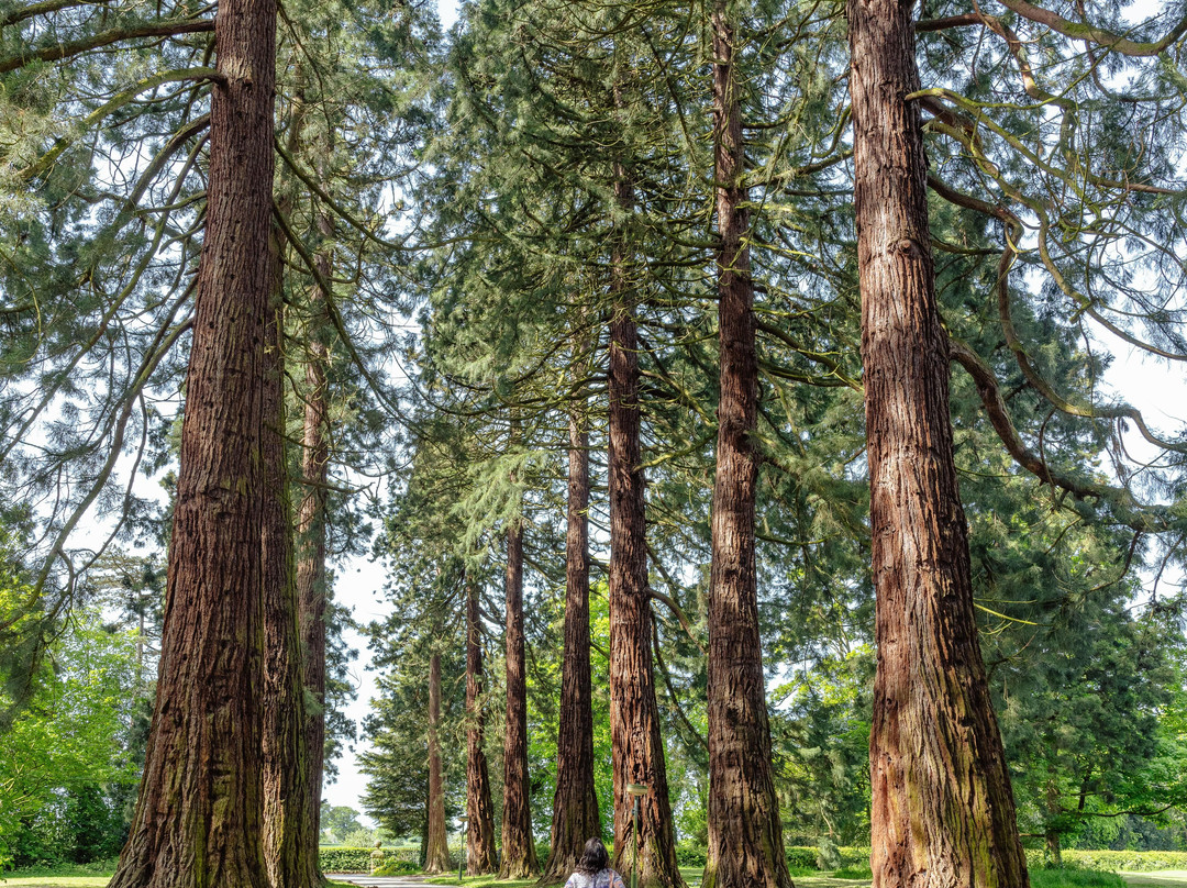Tara International Kadampa Retreat Centre-Etwall必去景点