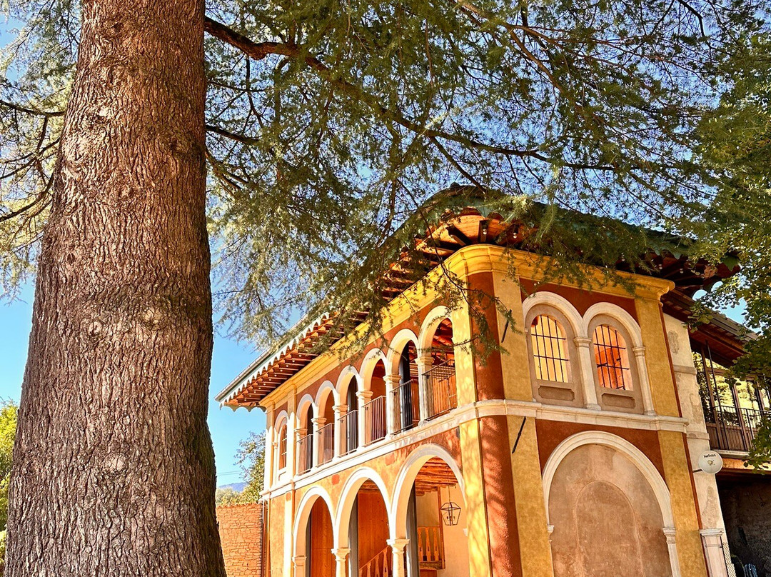 Villa Premoli主图