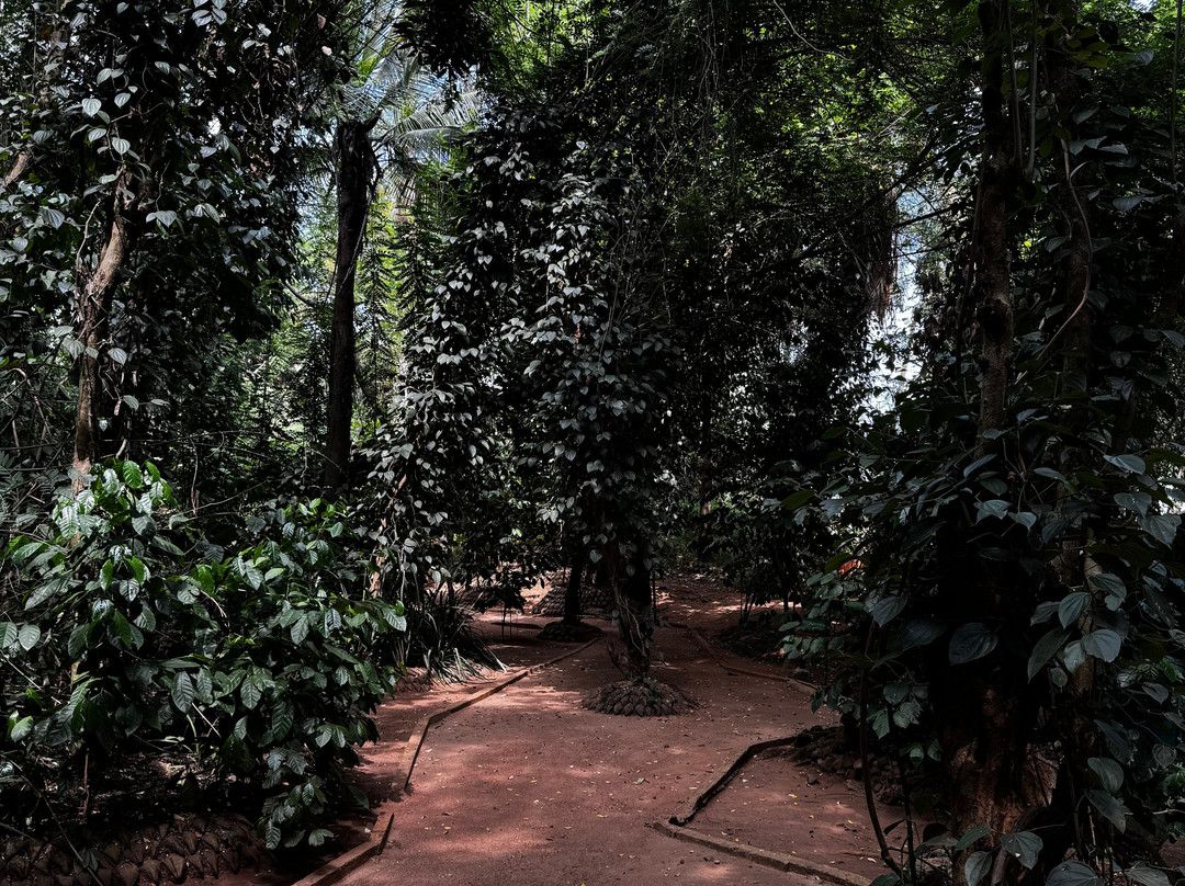 Nadin Travels & Tours-唐卡拉必去景点