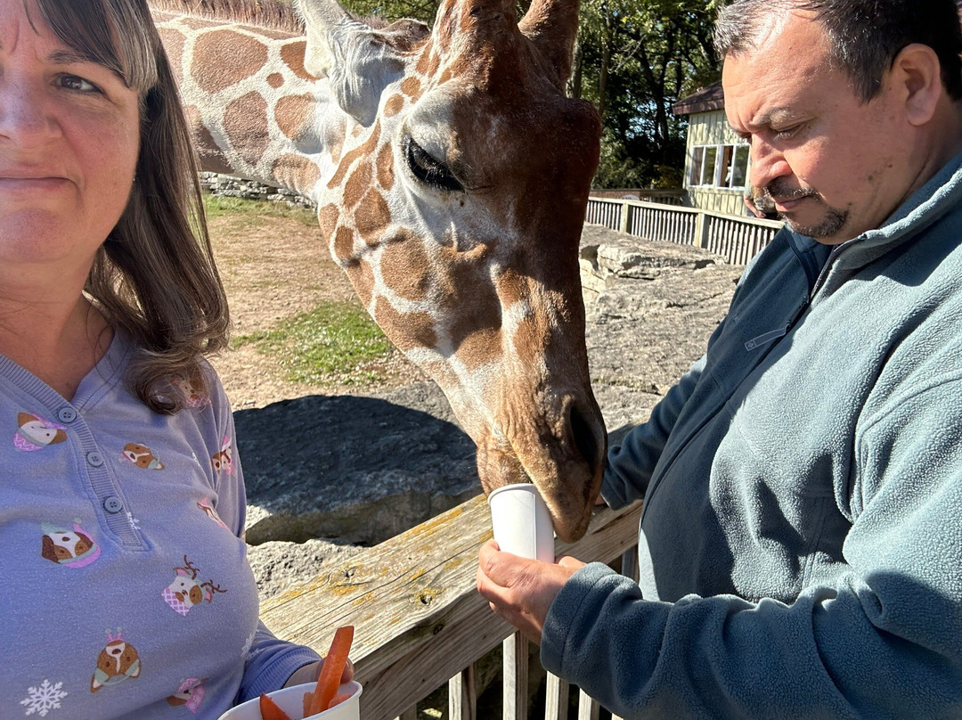 Timbavati Wildlife Park-威斯康星峡谷必去景点