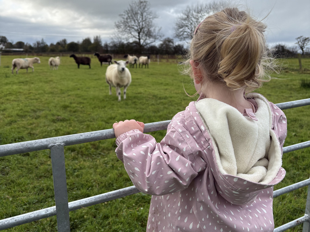Craigbank Farm-Kilmarnock必去景点
