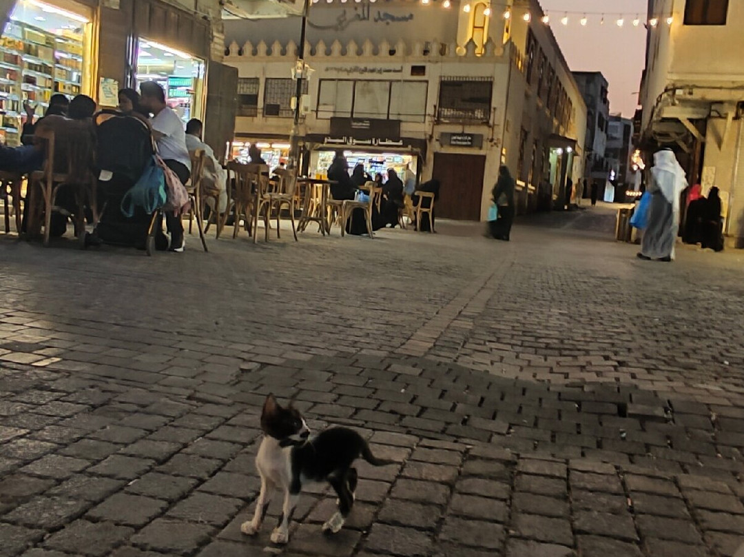 巴拉德-吉达必去景点