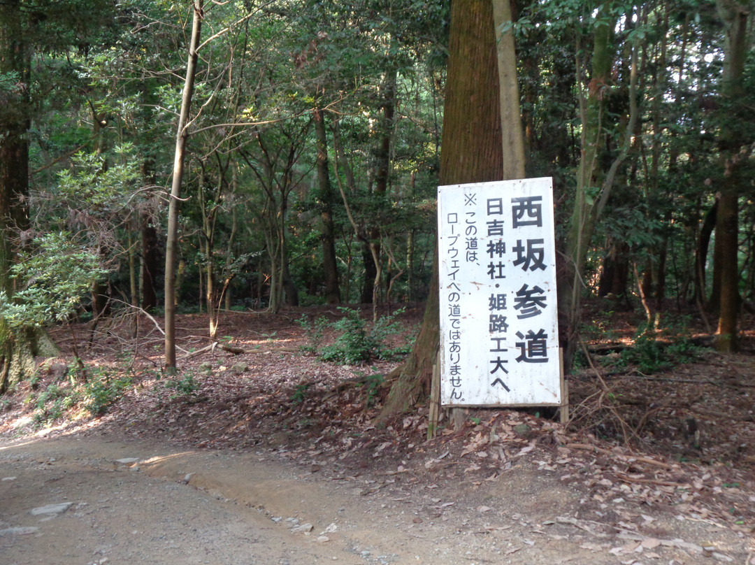 Mt Shosha hiking-姬路市必去景点