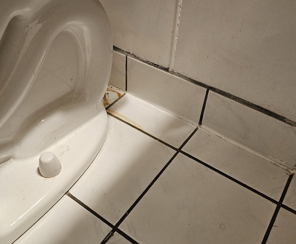 Wildwood Motel主图