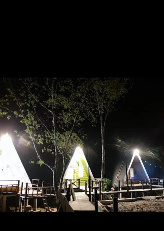 The Mangrove