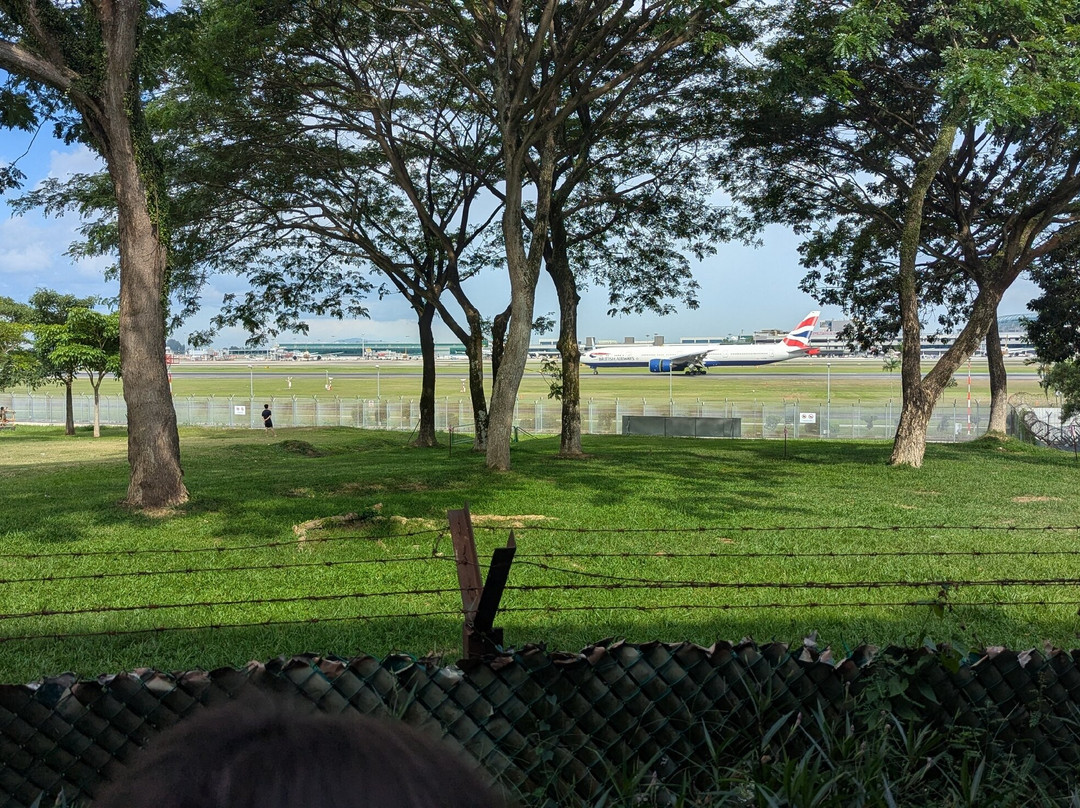 Cosford Container Park-新加坡必去景点