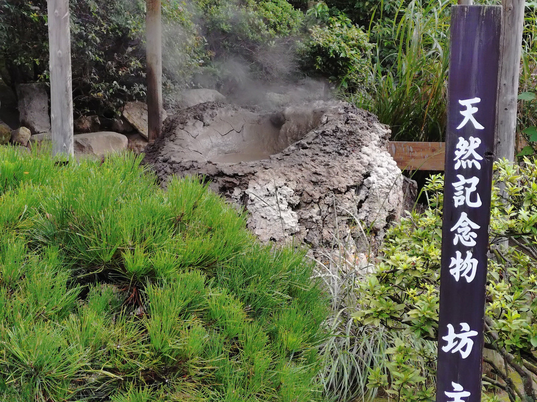 Bozu Jigoku-别府市必去景点