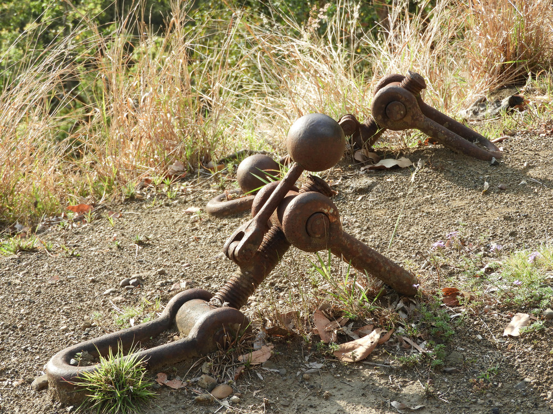 Forbes MTB-Kenmore必去景点