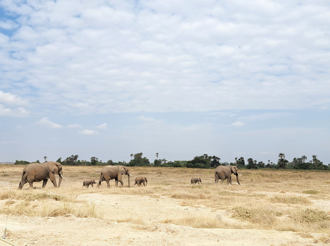 Aventure Safaris-蒙巴萨必去景点