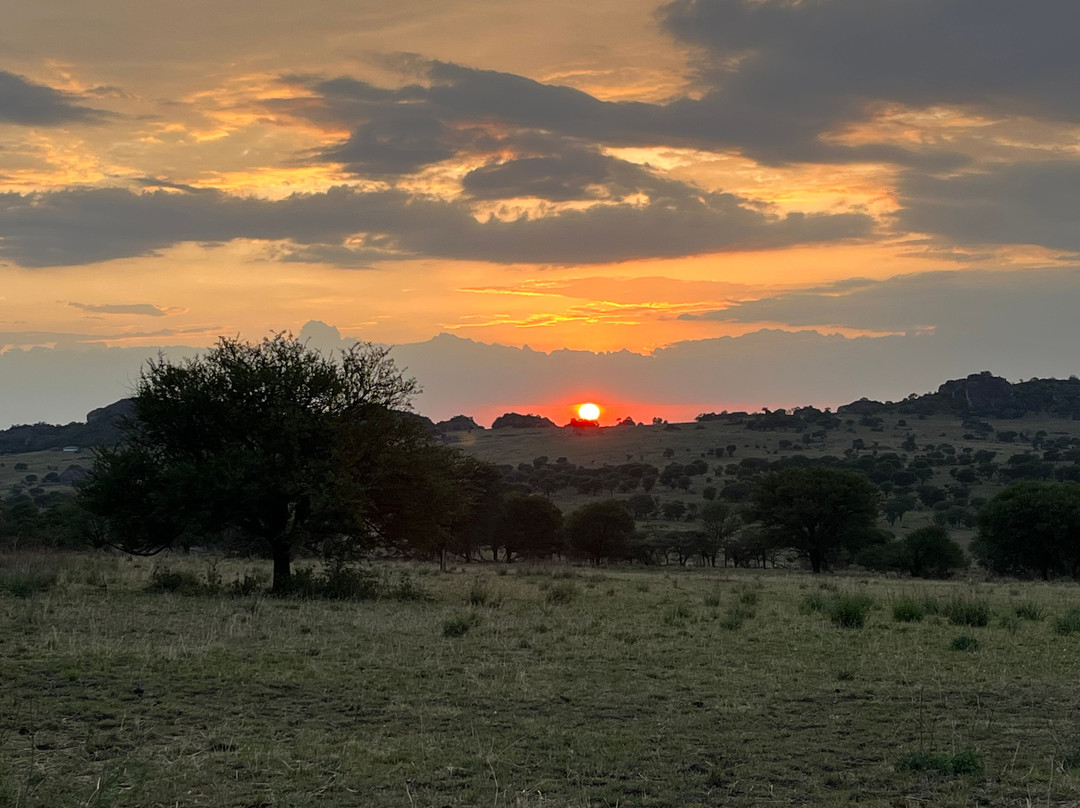 Africa Eco Expeditions Camp at Lobo Valley-Ikoma必去景点