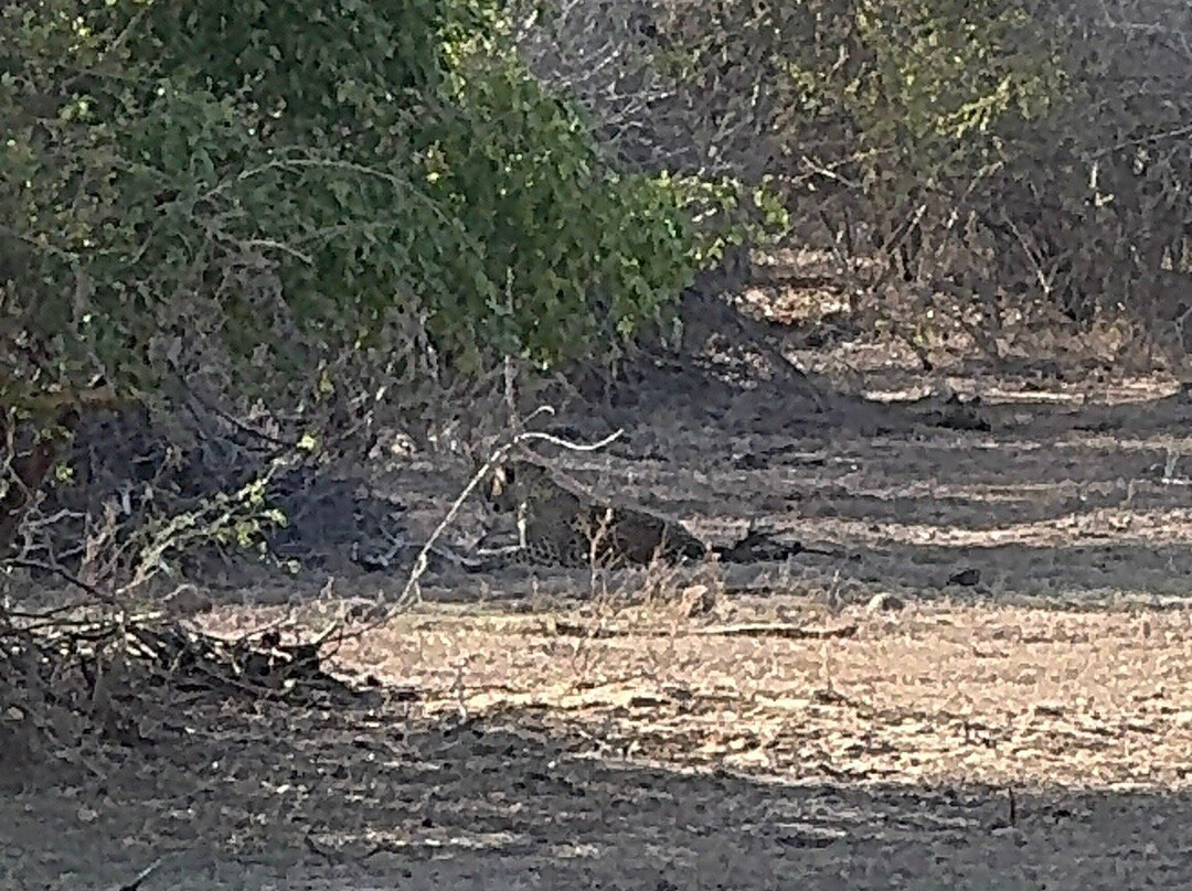 Amazing Travels & Tours Sri Lanka-科奇克德必去景点