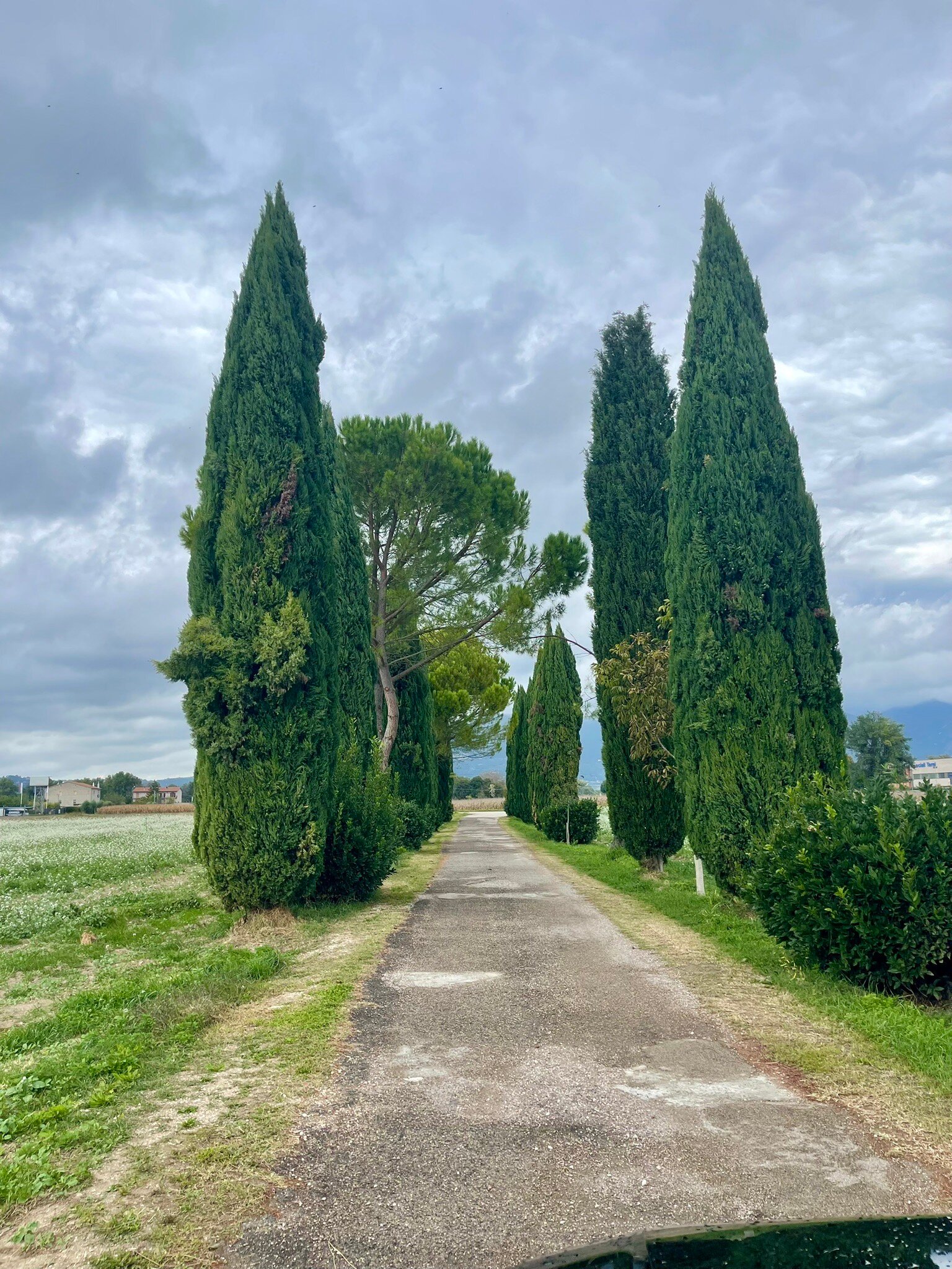 La Vecchia Stalla B&B-官方