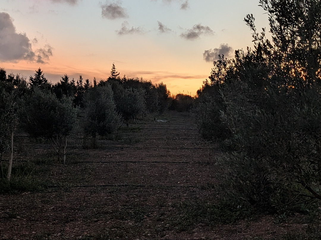 The Mediterranean Culinary Academy-Naxxar必去景点