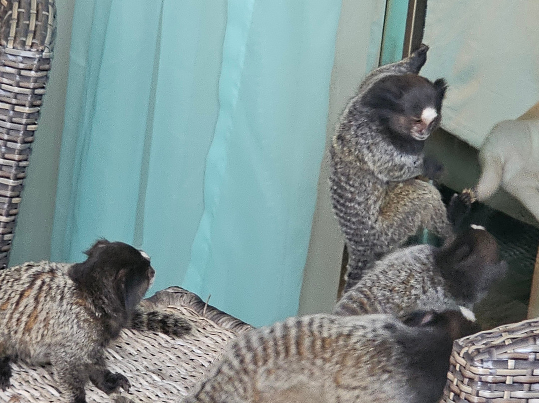 Hotel Vila Kebaya主图