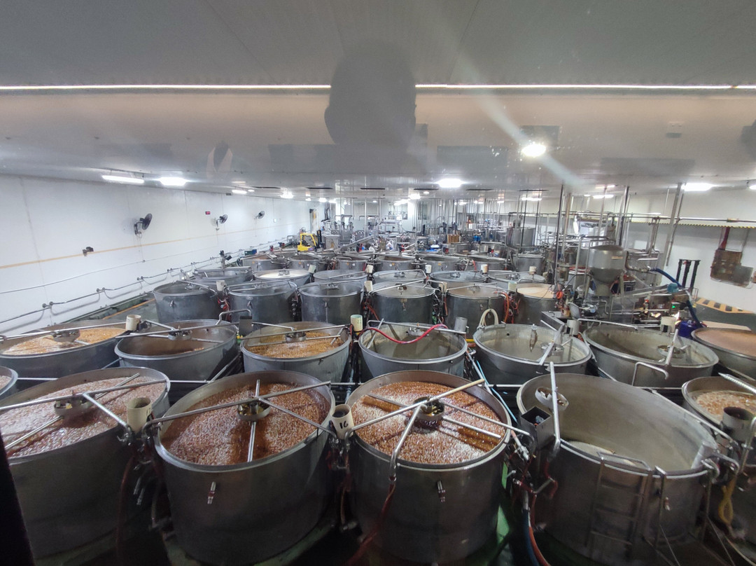 The Ginger Factory-Yandina必去景点