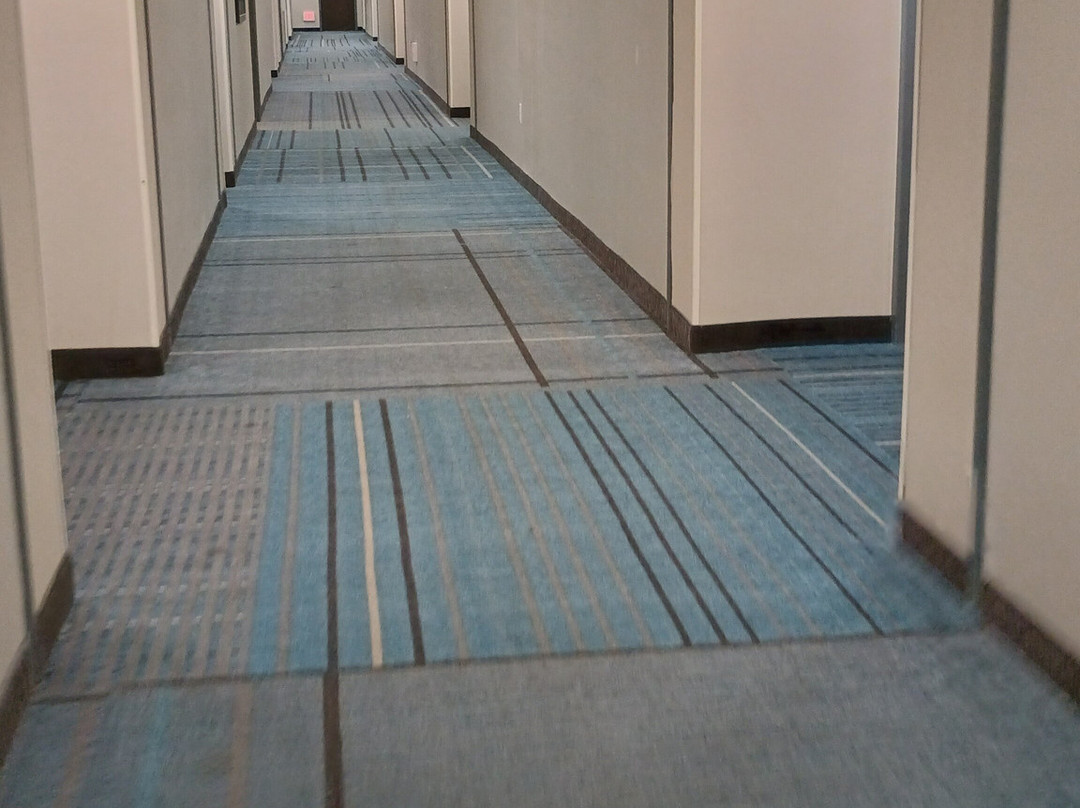 谢尔顿凯悦豪斯酒店主图