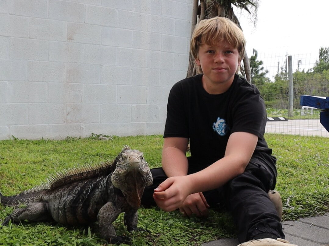 Iguanaland-蓬塔戈尔达必去景点