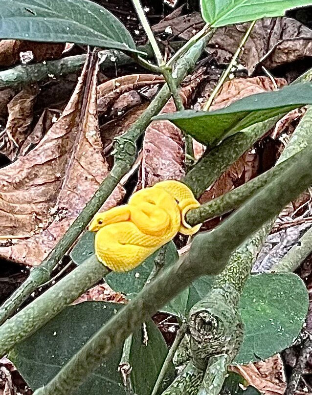 Bella Aventura Costa Rica-Santo Domingo de Heredia必去景点