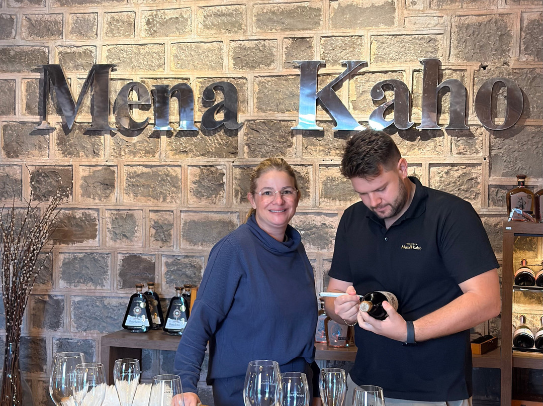 Vinicola Mena Kaho-本图贡萨尔维斯必去景点