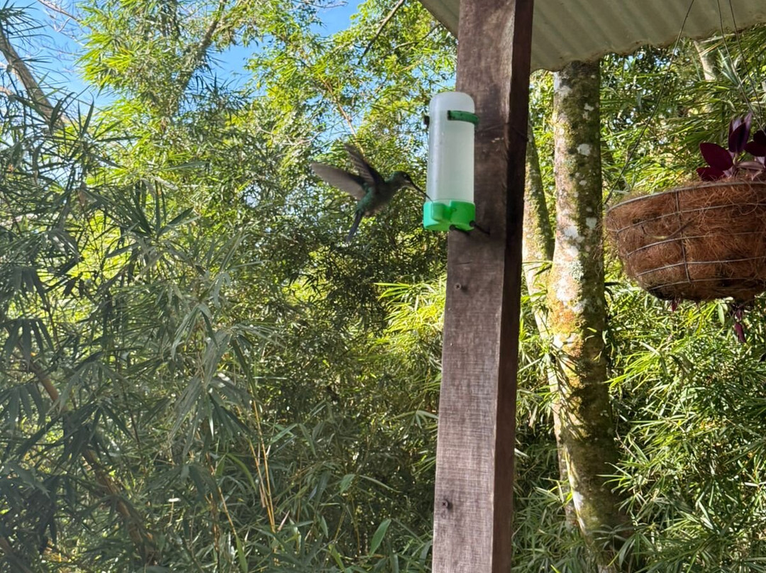 Guanacaste Airport Shuttle Costa Rica-利比里亚必去景点