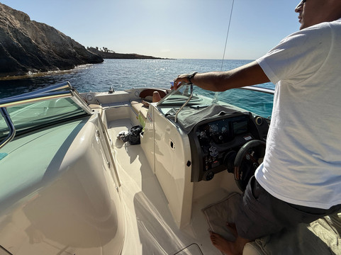 Dolphin Boat Safari-阿依纳帕必去景点