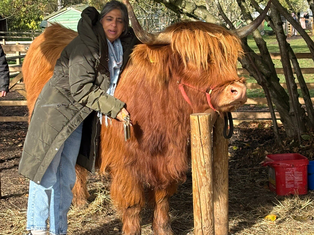 Baylham House Rare Breeds Farm-伊普斯威奇必去景点