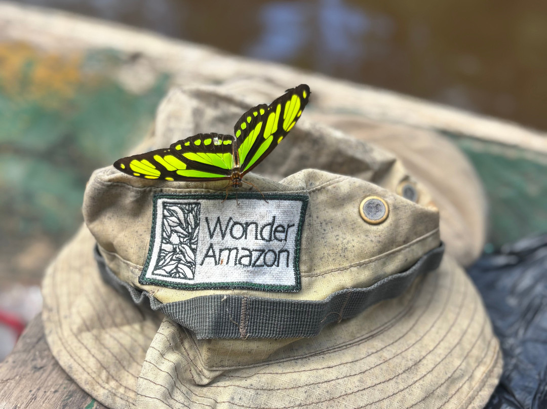 Wonder Amazon-Lagunas必去景点