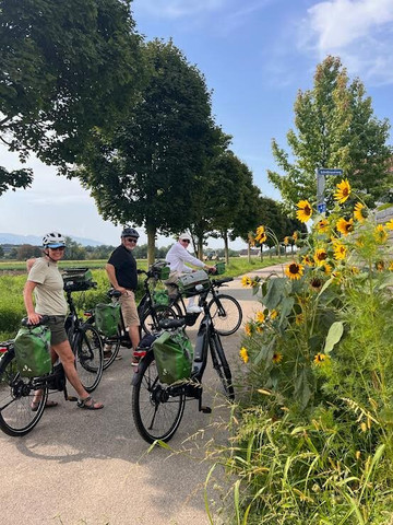 Rad & Reisen-维也纳必去景点