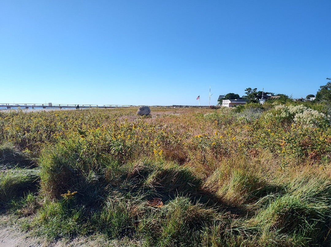 Eugenia Fortes Beach-Hyannis Port必去景点