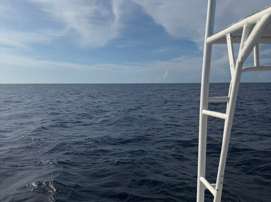 Dressel Divers Playa Del Carmen-普拉亚德尔卡曼必去景点