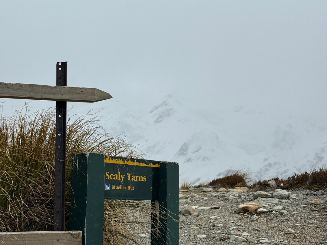 Sealy Tarns Track-库克山国家公园必去景点