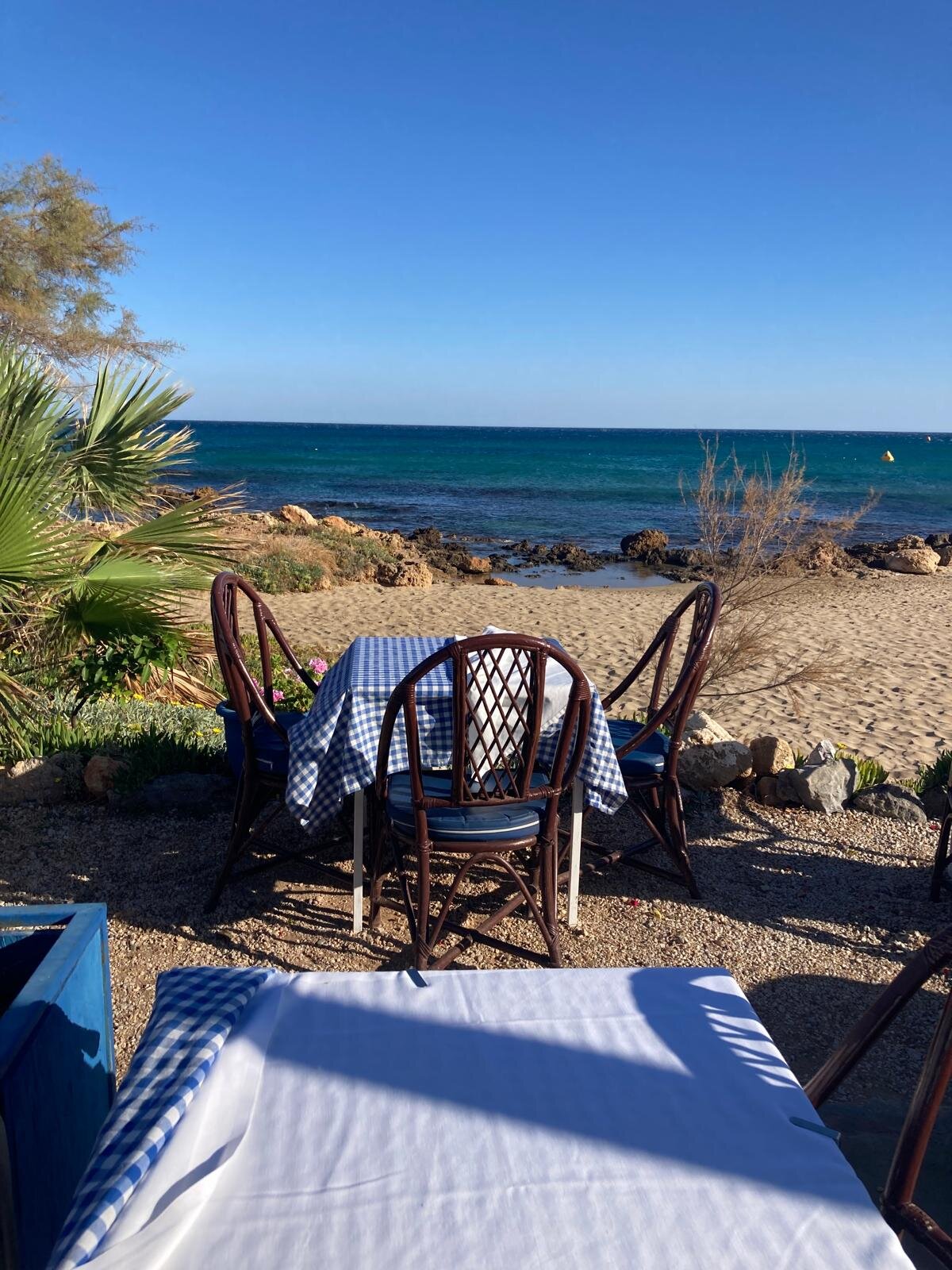 Alexander Beach Hotel & Village Resort-官方