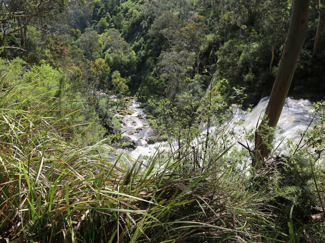 Agnes Falls-Hazel Park必去景点