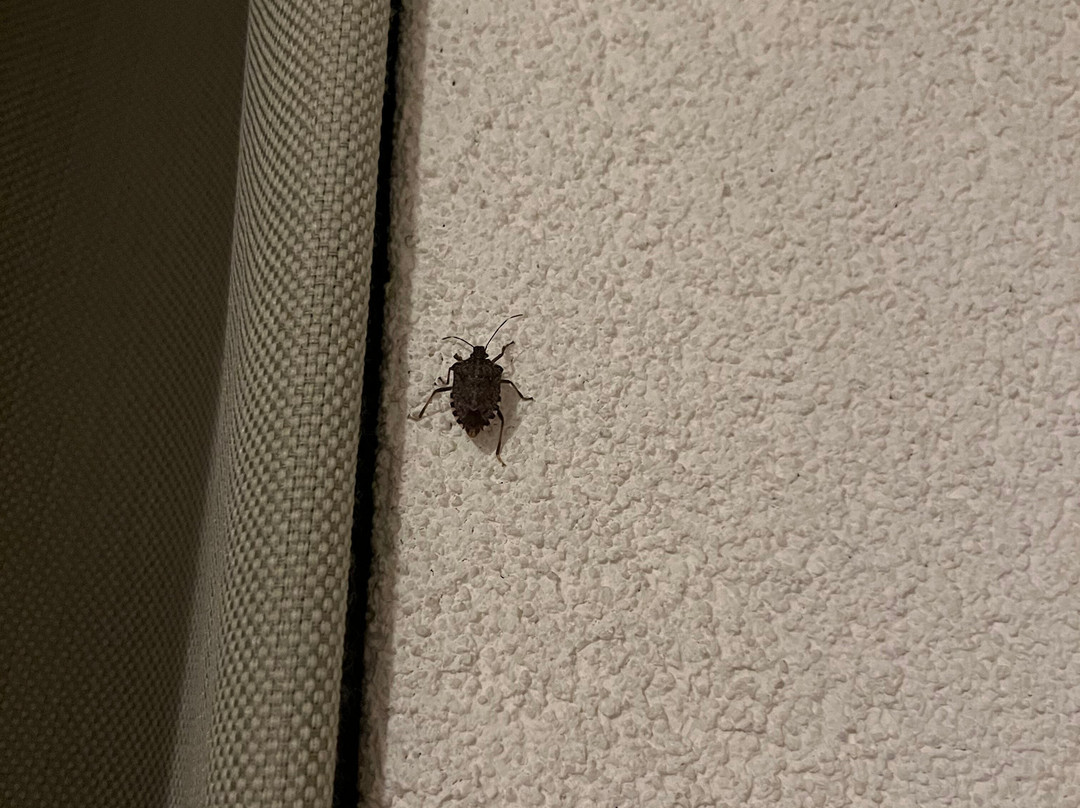 Appartementen Valkenburg主图