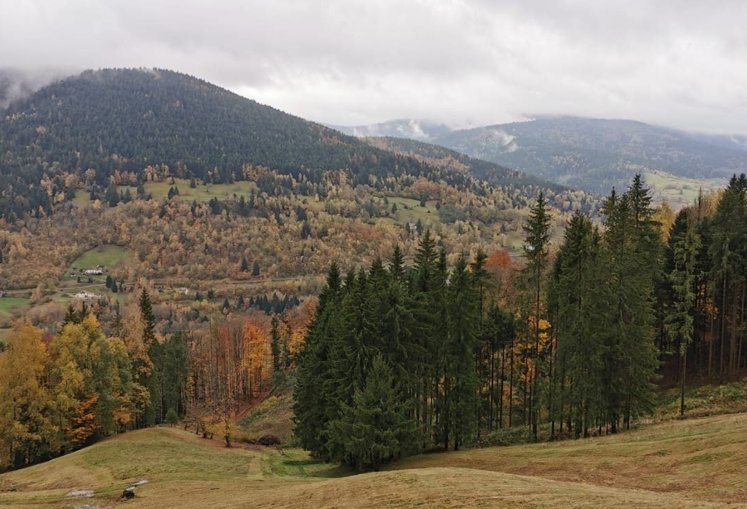 La Ferme des 4 Vents主图