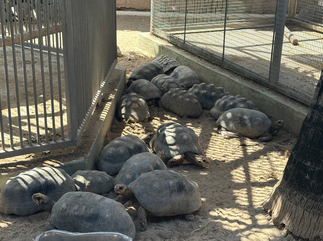 Philip's Animal Garden-Noord必去景点