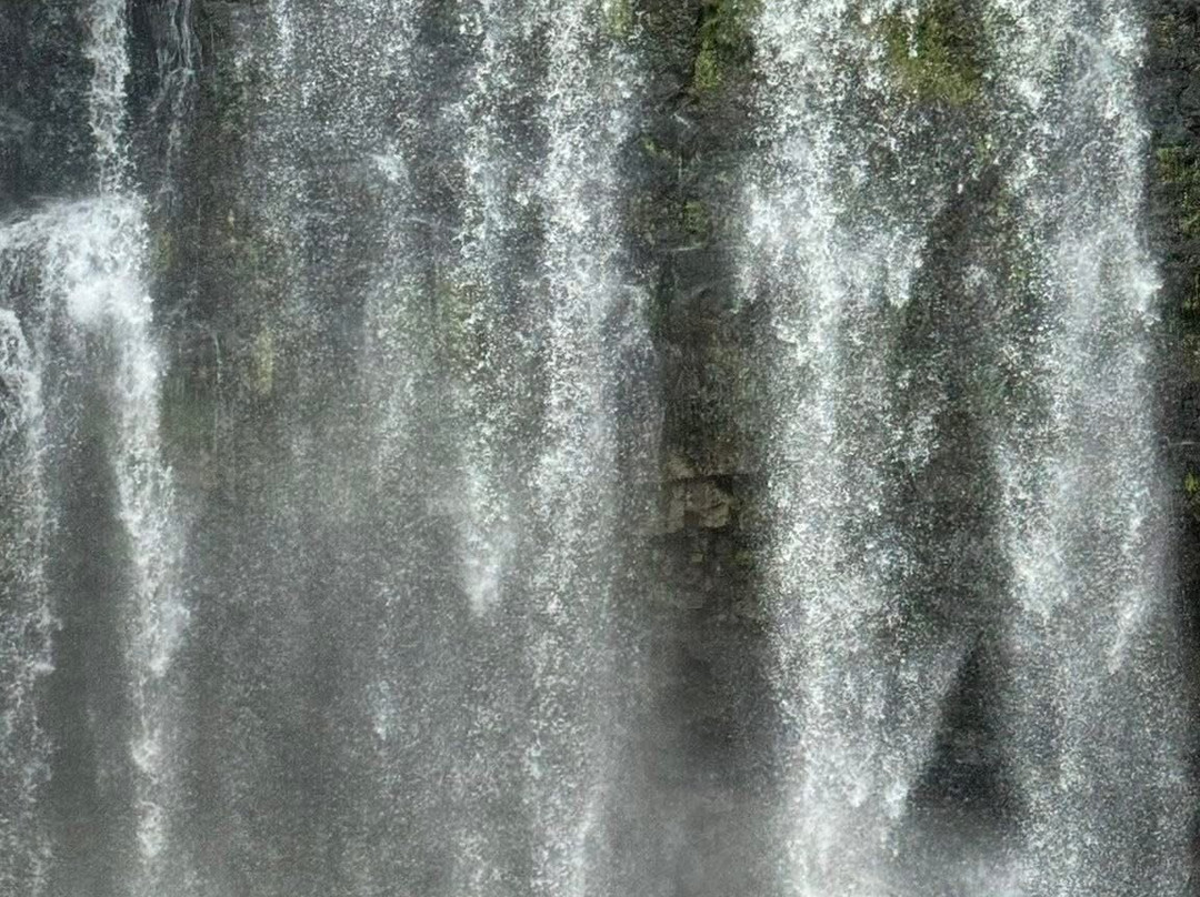 Sebastians unique tours costa Rica-Playa Panama必去景点