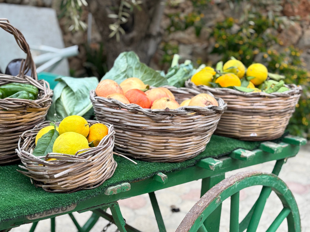 Tax-xierfa Museum-拉巴特必去景点