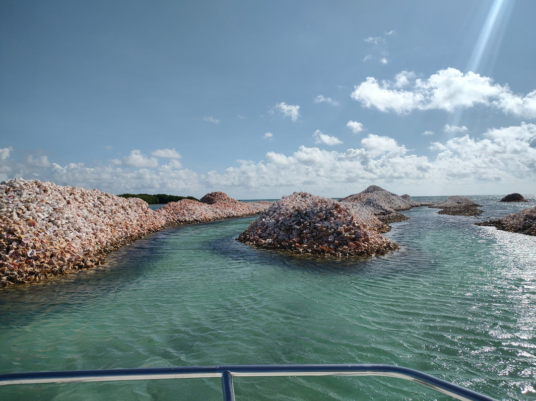 Horseshoe Reef-Anegada必去景点