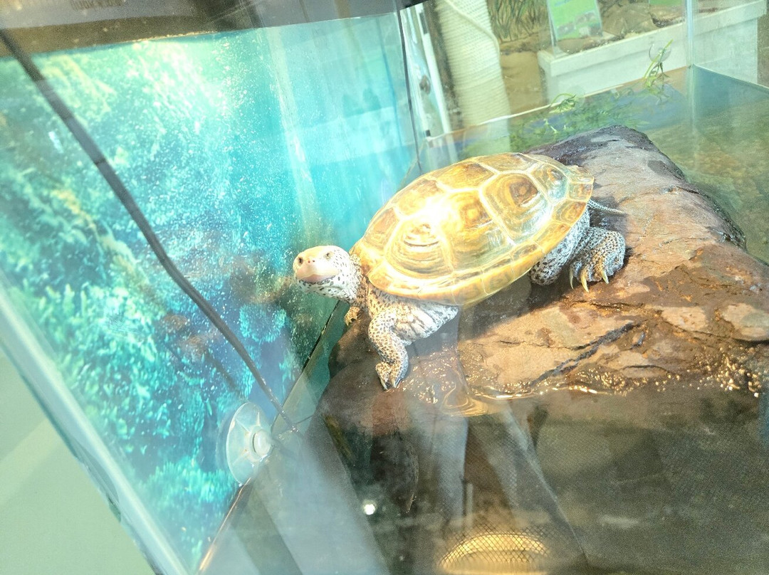 Coastal Discovery Museum-希尔顿头岛必去景点