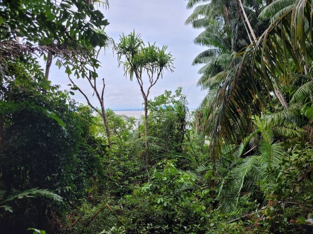 Bako National Park-古晋必去景点