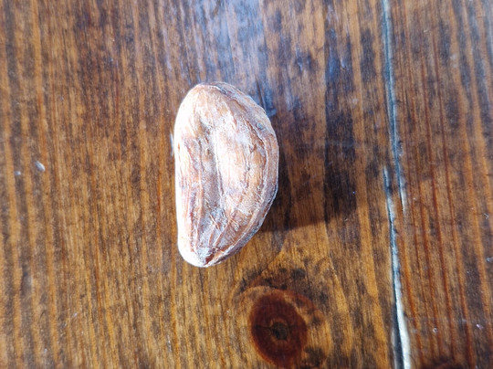 NearyNógs Stoneground Chocolate-Lisnacree必去景点