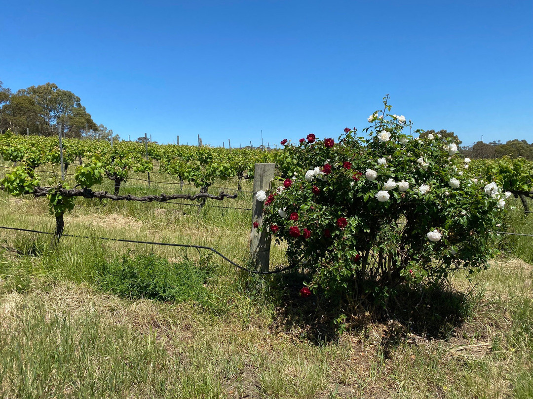Whistler Wines-Marananga必去景点